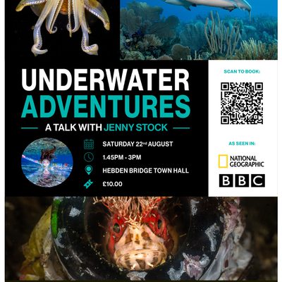 Underwater Adventures - a month long Exhibition on Underwater Photography (talk on 22nd Aug)