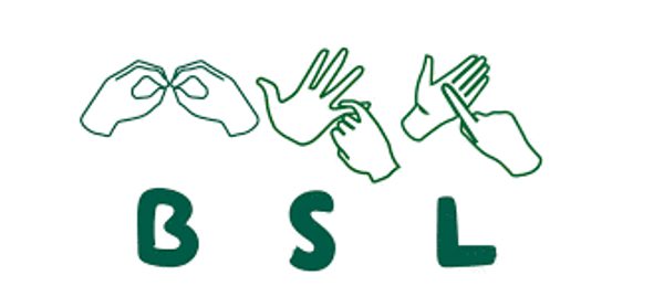 13 BSL2