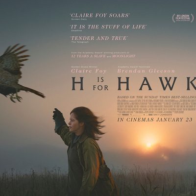 H is for Hawk