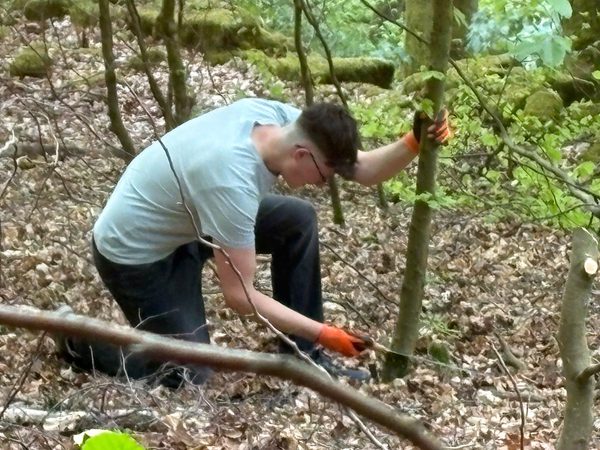 5f150ea1 e1b9 43d1 a2c2 1b93eb55a66e