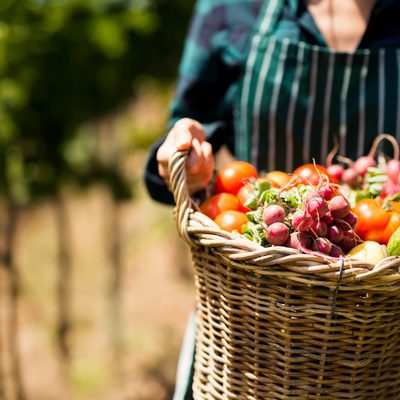 Hebden Bridge Lit & Sci talk. The Incredible Edible Story - Pam Warmhurst CBE