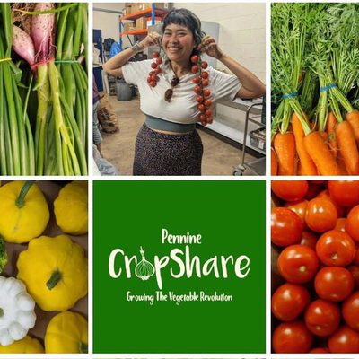 HB WI Pennine Cropshare - Growing the Vegetable Revolution
