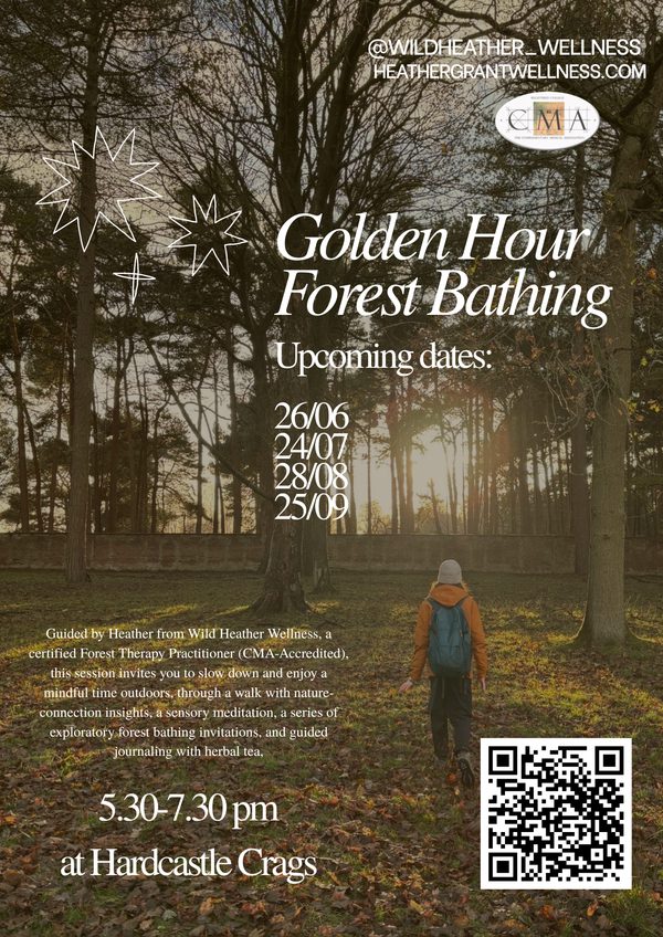 Forest Bathing Poster