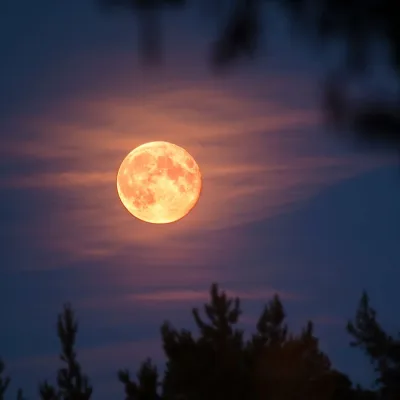 Once in a Blue Moon Writing Day with Anna Chilvers