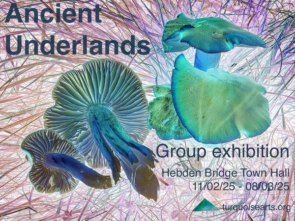 HBTH ancient underlands poster