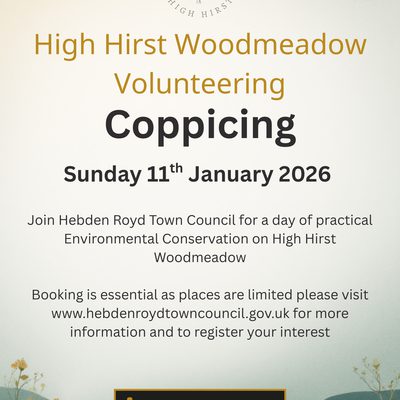 Coppicing at High Hirst Woodmeadow