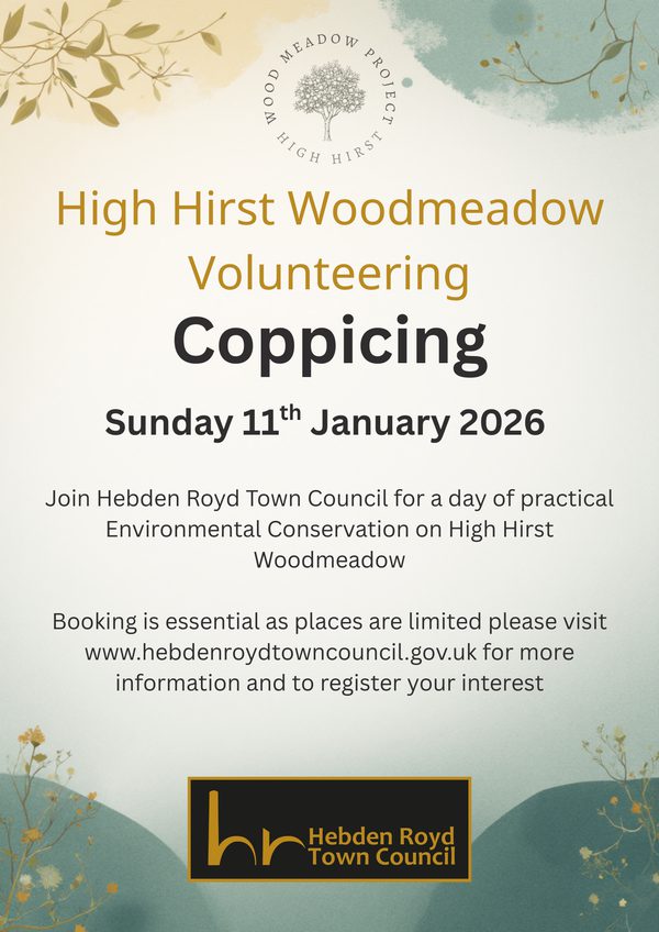 High Hirst Woodmeadow Volunteering