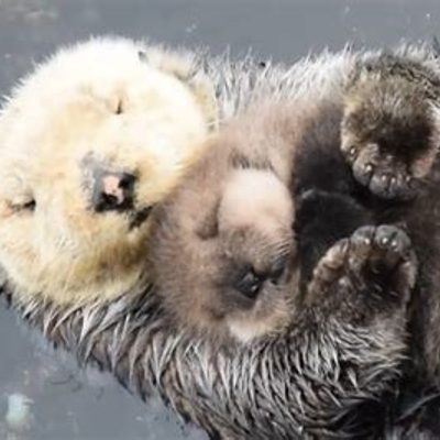 Systemic Constellations Workshop - Healing Difficult Relationships - Mother