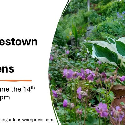Charlestown Open Gardens 2026