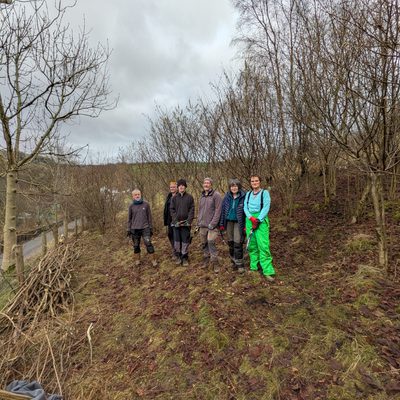 Coppicing at High Hirst Woodmeadow