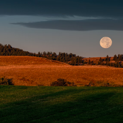 Harvest Moon Writing Day