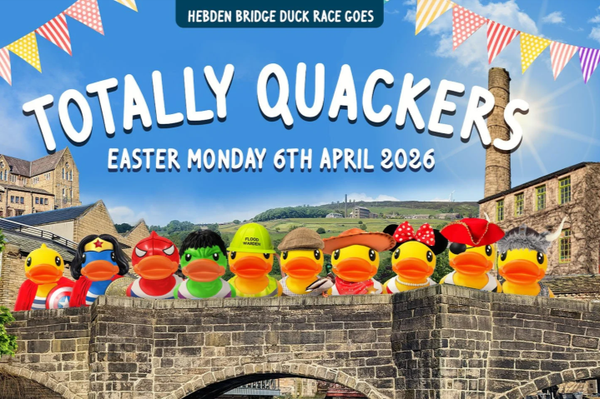 Screenshot Duck Race 800 b