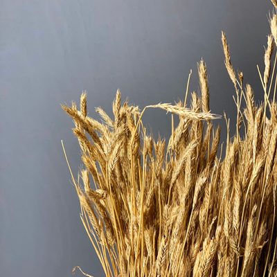HARVEST at Wainsgate: Corn Doll making workshop