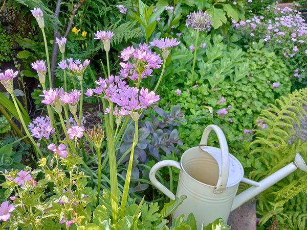 B99f8f16 e1bd 4cd0 b425 db61d44b319c 1 all 1477