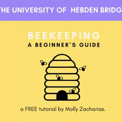 The University Of Hebden Bridge: Beekeeping - A Beginner's Guide