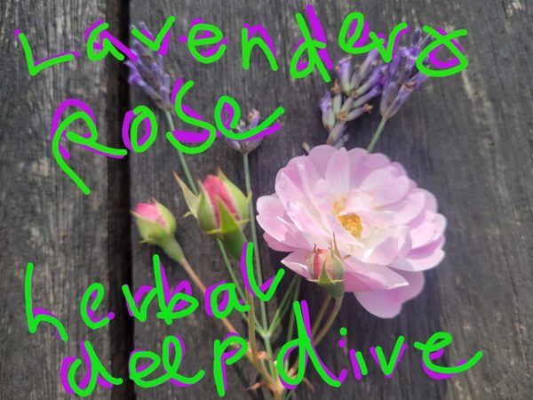 Lavroseimage