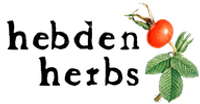 Hh logo transparent